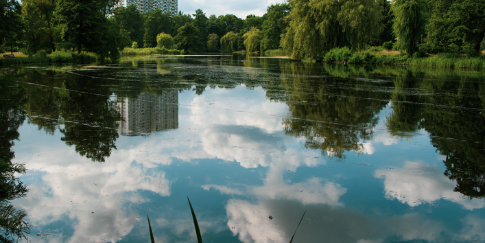 Südparkteich Berlin mit Häusern im Hintergrund - auf der Wasserfläche erkennt man feine Linien 
