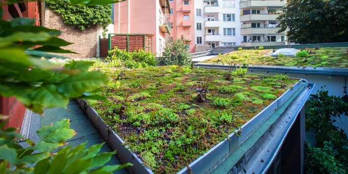 Blick direkt auf begrüntes Garagendach. Im Hintergrund sind Häuserensembles zu sehen.