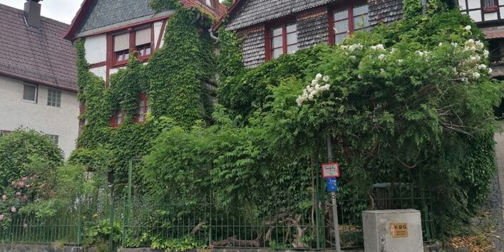 Klimaanpassung in historischen Fachwerkstädten