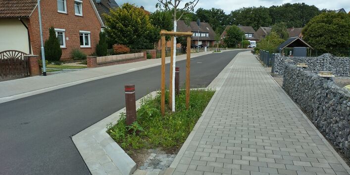 Nachbegrünung und Entsiegelung durch Anlage eines Baumbeetes