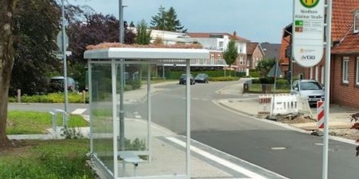 extensive Dachbegrünung Wartehäuschen