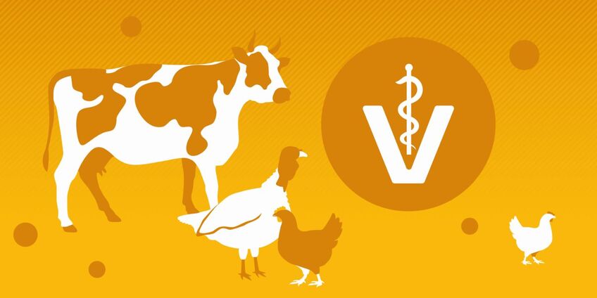 Grafische Darstellung von Nutztieren