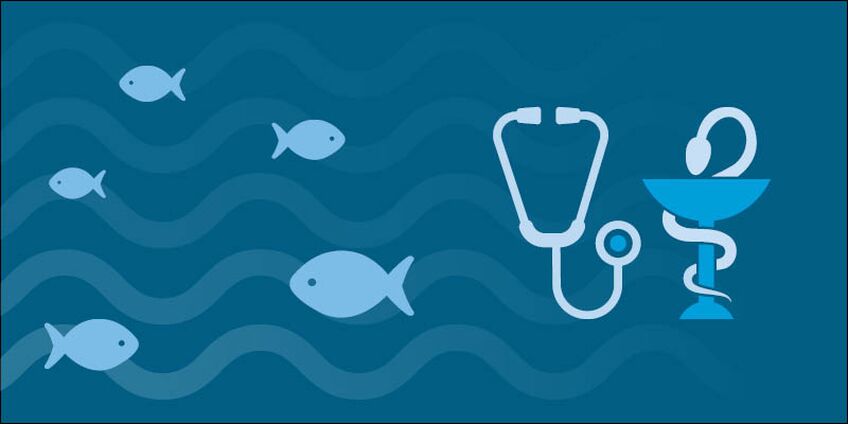 Illustration featuring fish, water, a stethoscope and a pharmacy symbol. 