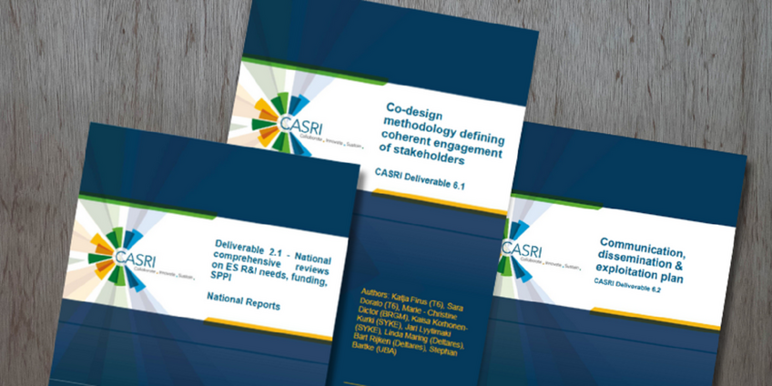 Die Cover-Seiten von drei verschiedenen CASRI-Veröffentlichungen liegen aufgefächert nebeneinander. 