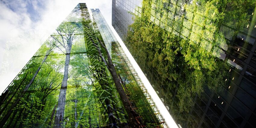 Eine begrünte Fassade