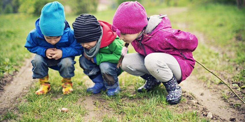 Eine Gruppe  Kinder ist in der Natur unterwegs.